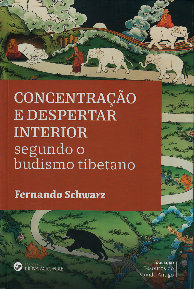 Concentração e Despertar Interior segundo o budismo tibetano